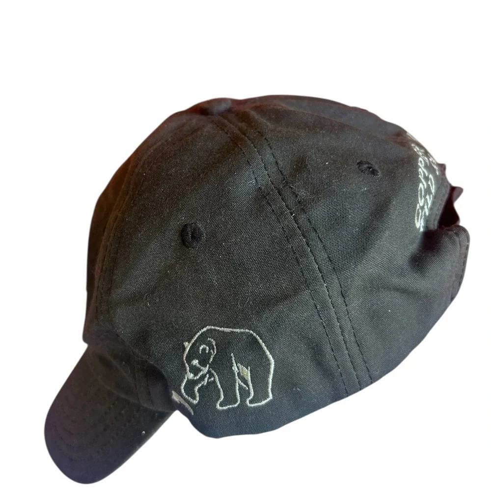 Vintage Cordova Alaska Embroidered Cap-New old stock Salmon uNISEX